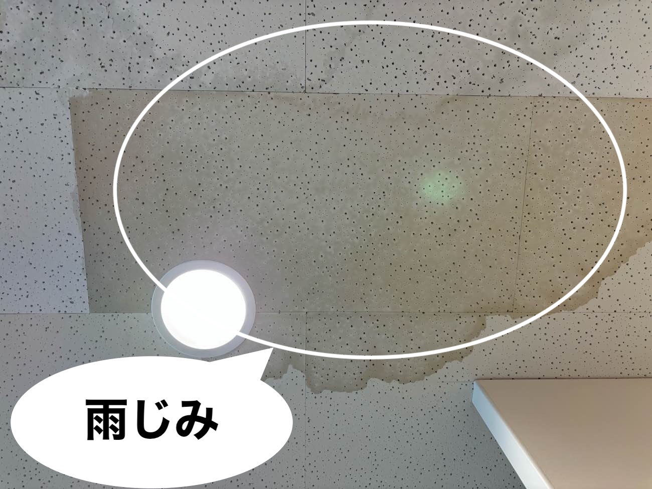 大きく広がった雨じみ