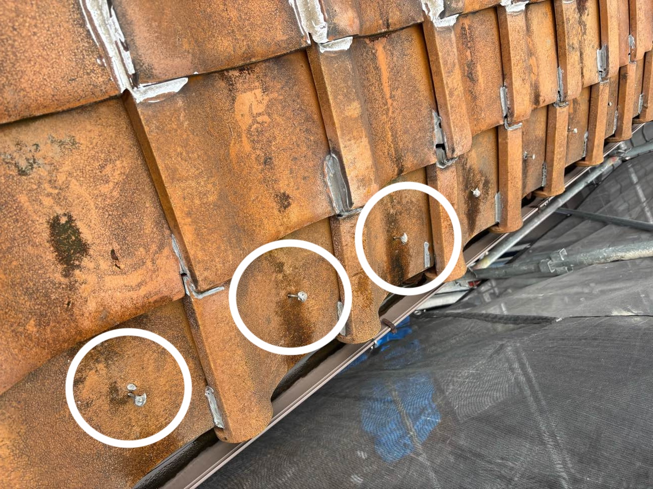 瓦の穴が雨水の侵入口