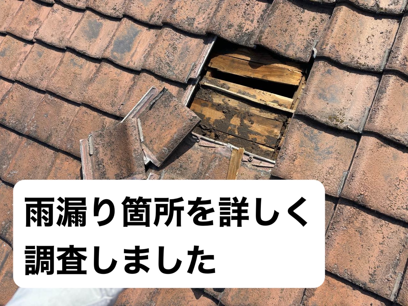雨漏り調査