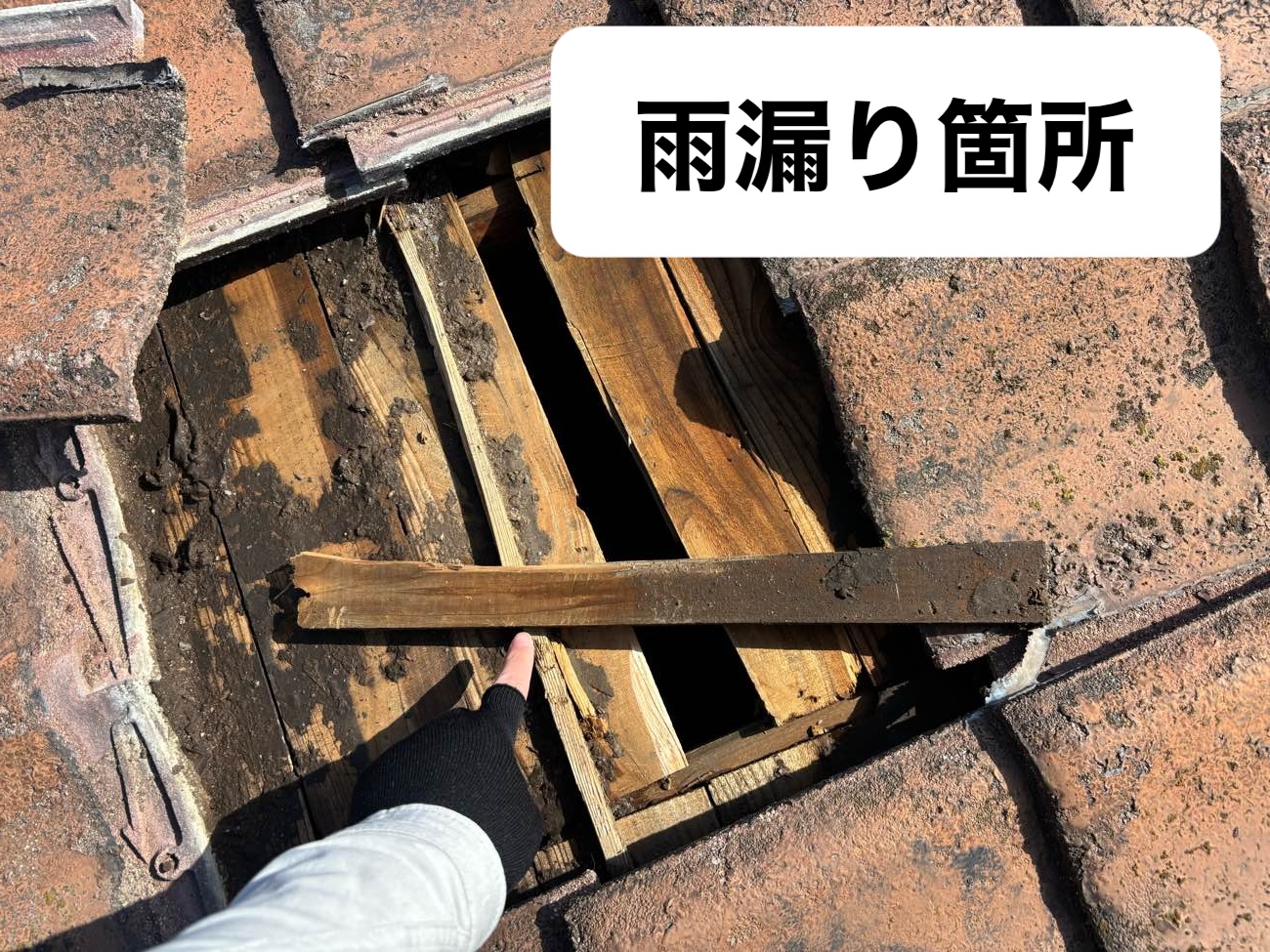 瓦屋根雨漏り箇所