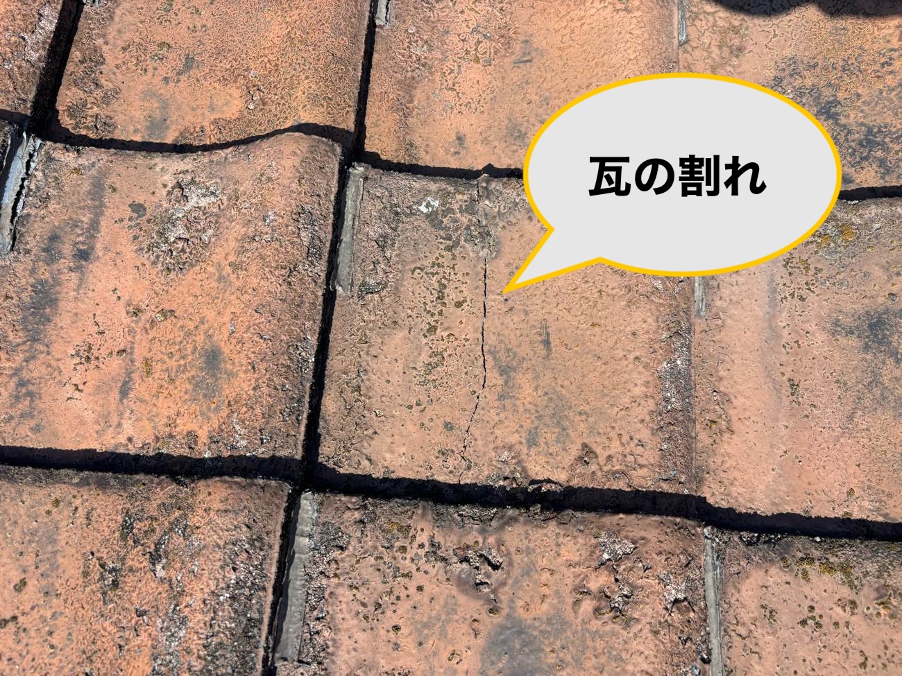 福岡市西区で実施した雨漏り調査、瓦の割れ