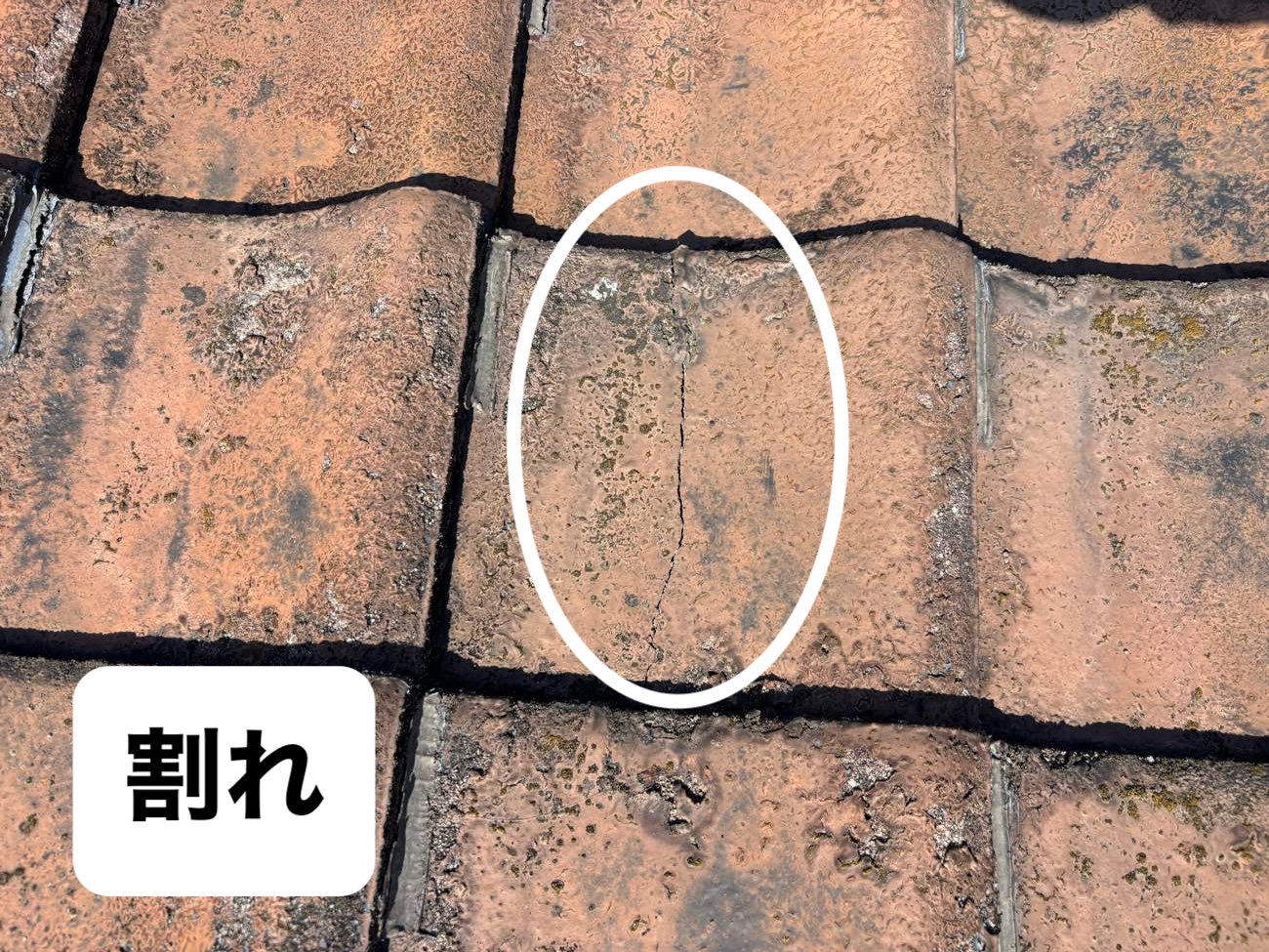 瓦の割れ
