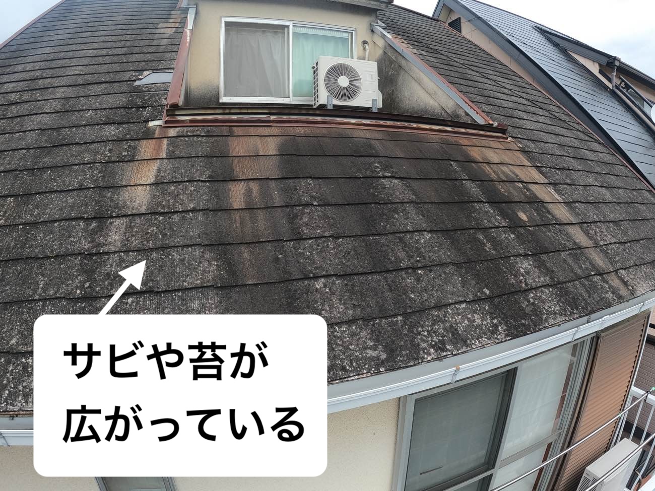 屋根の苔やさび