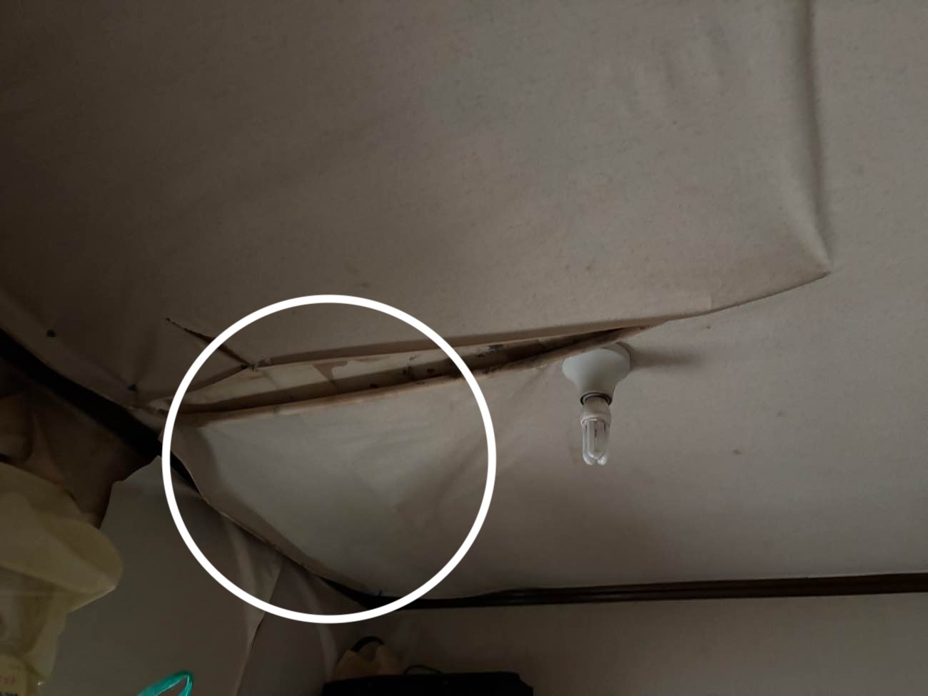 福岡市博多区物件の屋根調査、雨漏りの発生、天井のシミ