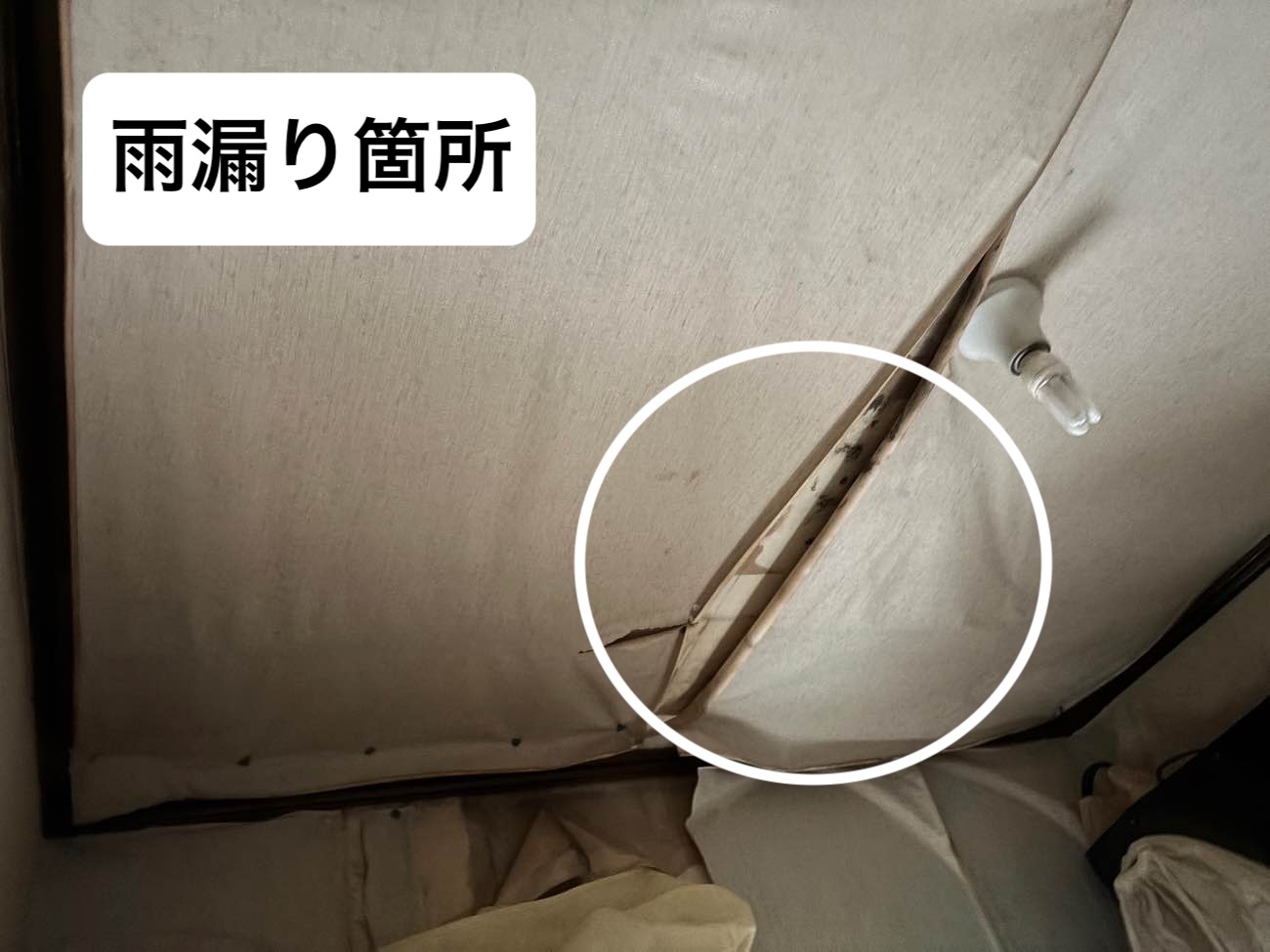 雨漏り箇所