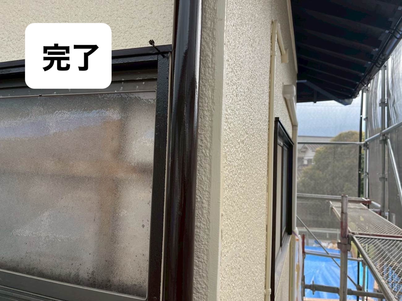 雨樋塗装完了