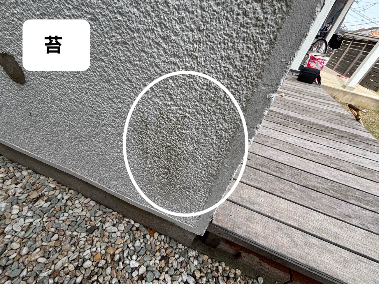 外壁調査、外壁の苔、街の屋根やさん、福岡西店