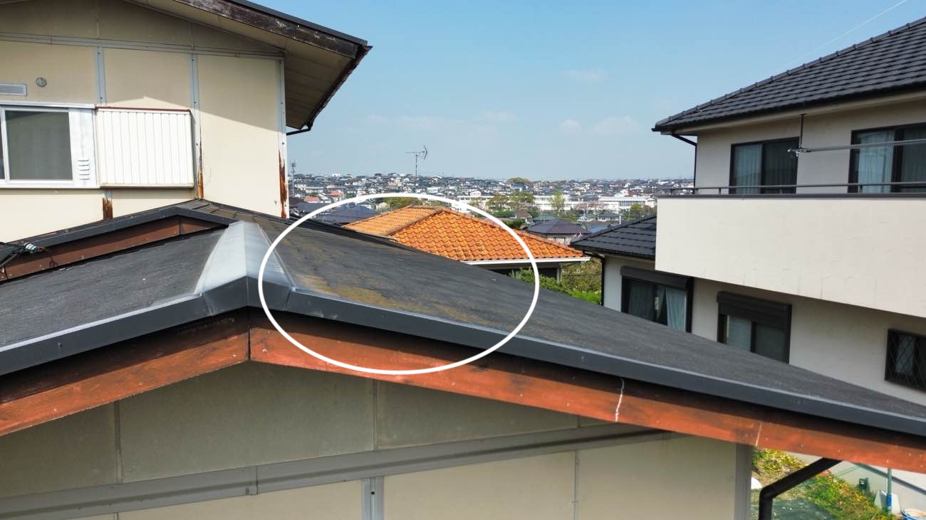 太宰府市物件のカラーベスト屋根の調査、苔の発生