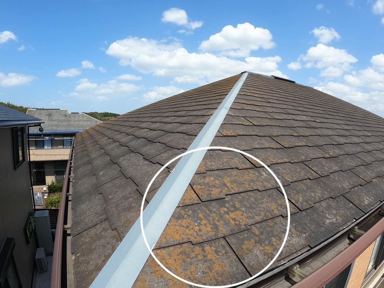 福岡市東区で行った屋根調査、屋根の苔、カビ