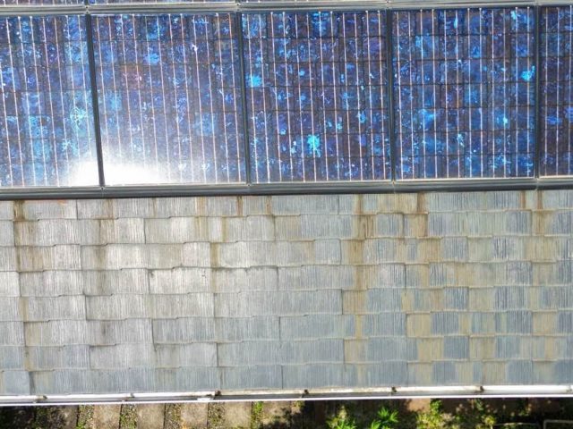 東区の変色したカラーベスト