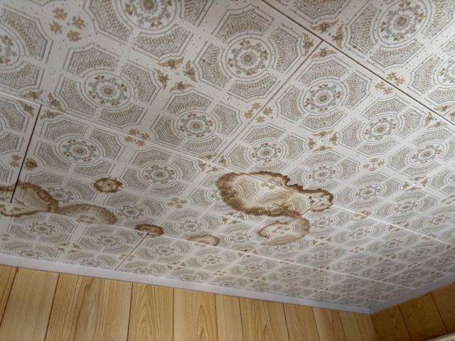 宇美町の戸建て天井で雨漏り