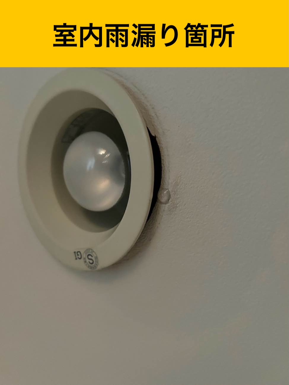 室内の雨漏り箇所