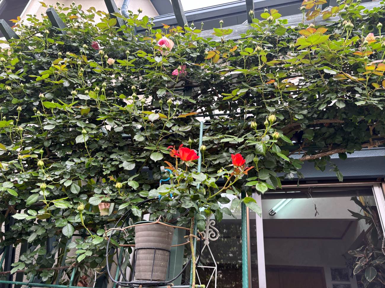 城南区物件屋根調査