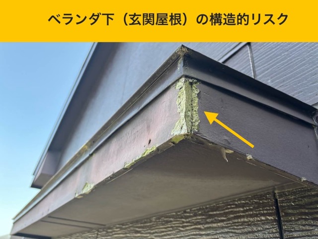 福岡市の野猿調査、スレート屋根