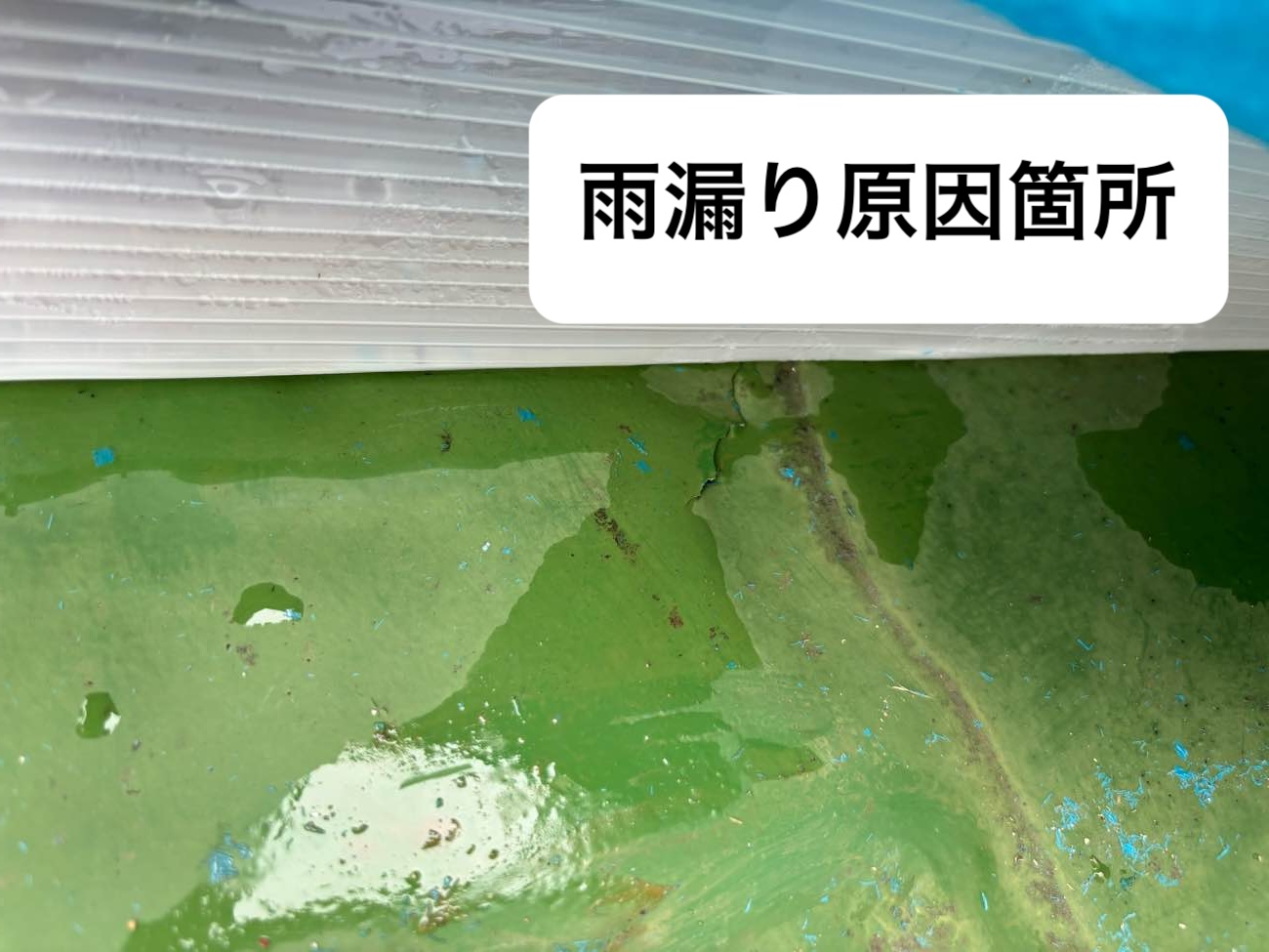 雨漏り箇所、バルコニー