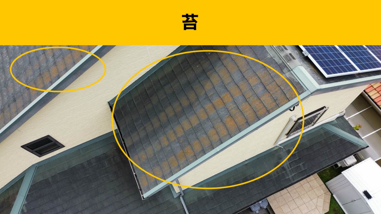 福岡市早良区の屋根調査、苔の発生