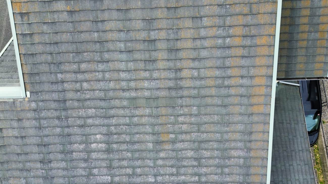 苔や藻の発生した屋根