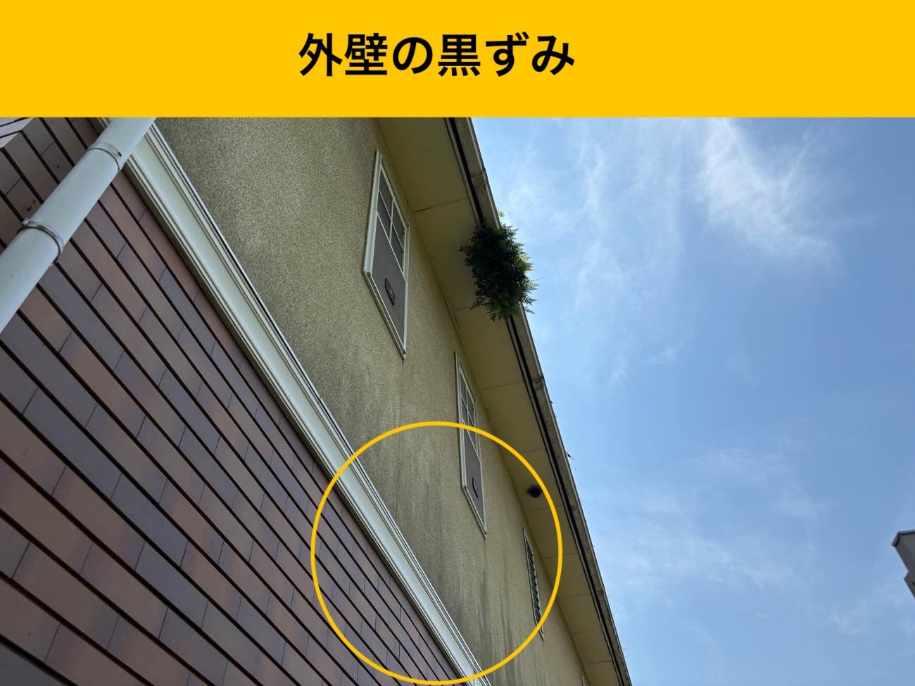外壁の黒ずみ