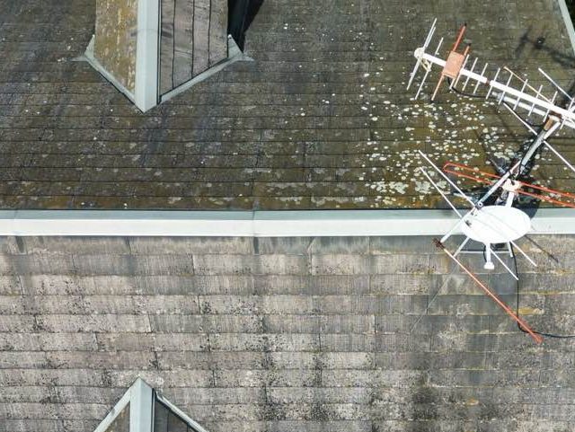 粕屋町のスレート屋根の苔