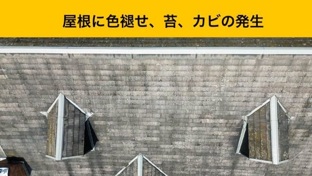 屋根の色褪せ、黒ずみ