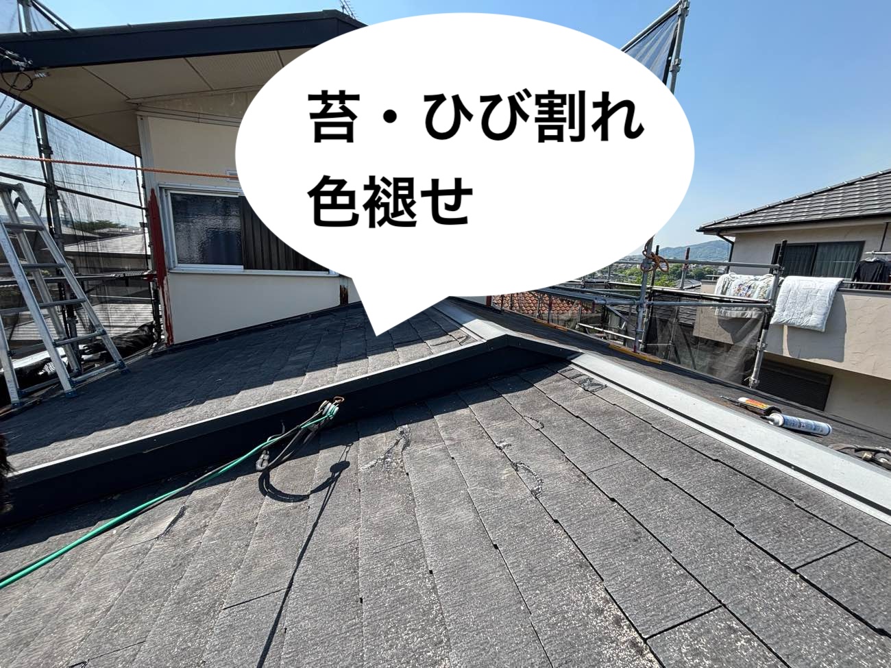 苔・ひび・色褪せ