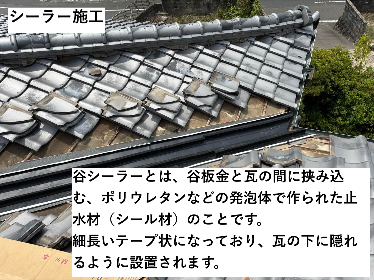 谷シーラー施工