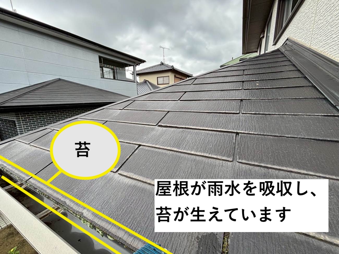 スレート屋根の苔