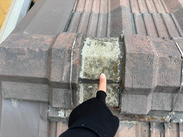 福岡市西区の調査で確認されたセメント瓦の苔・かび