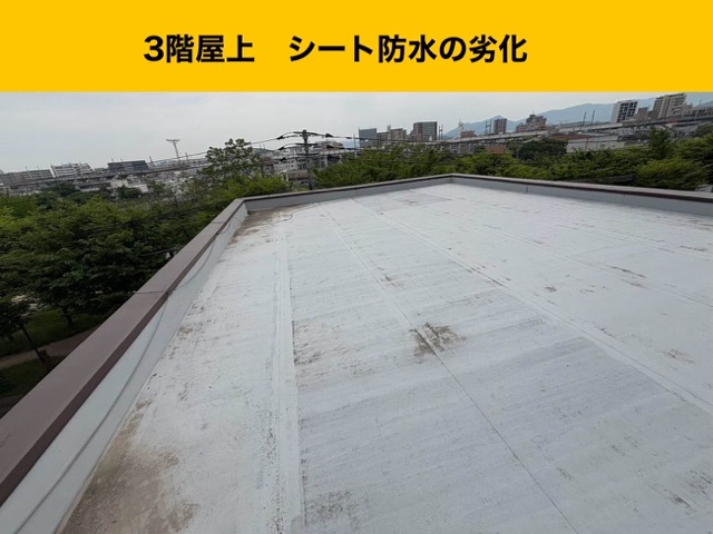 福岡市南区雨漏り調査、防水工事