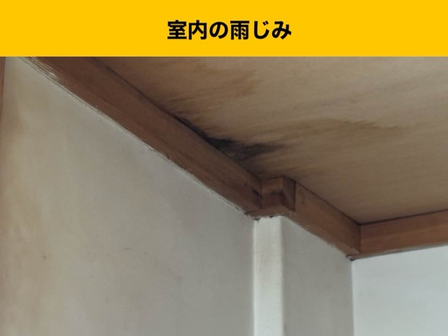 雨漏り調査、室内の雨じみ