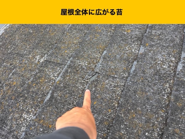 福岡市早良区の屋根調査、苔の発生