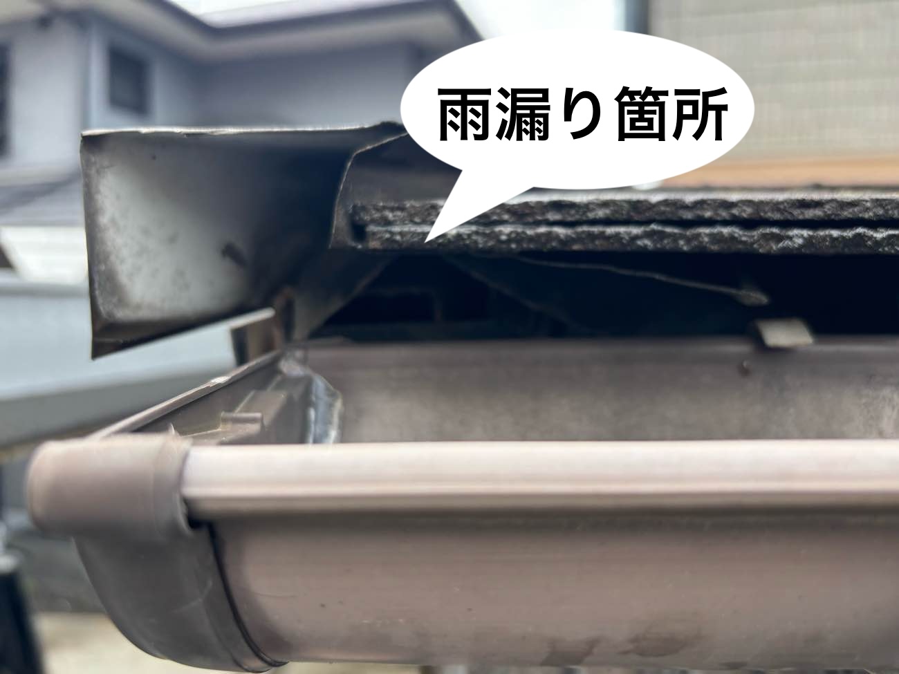 福岡市博多区、雨漏り、屋根調査