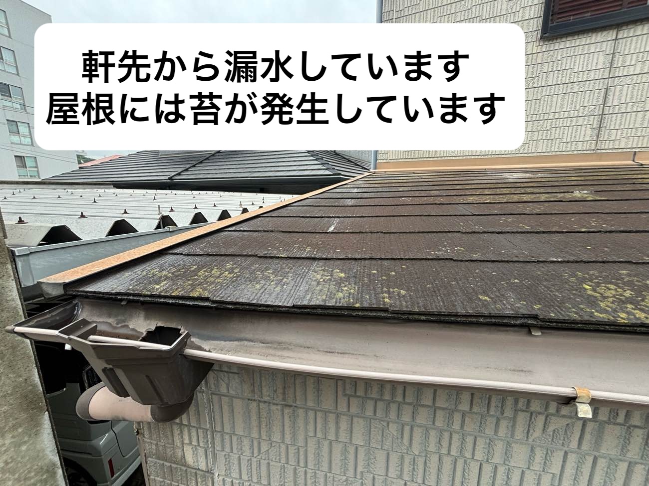 スレート屋根の苔の発生、福岡市博多区