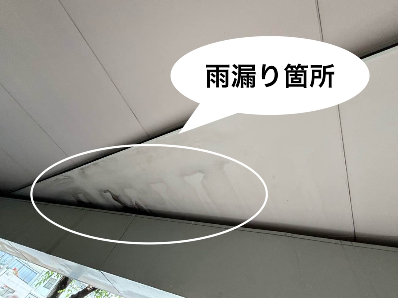 室内雨漏り箇所、カビの発生