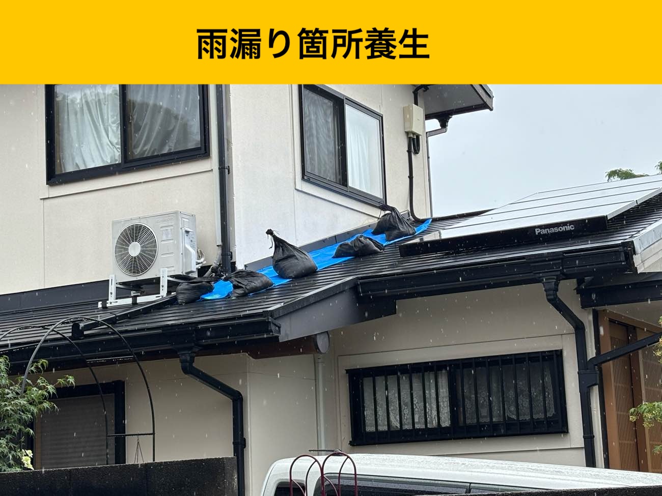 雨漏り養生箇所