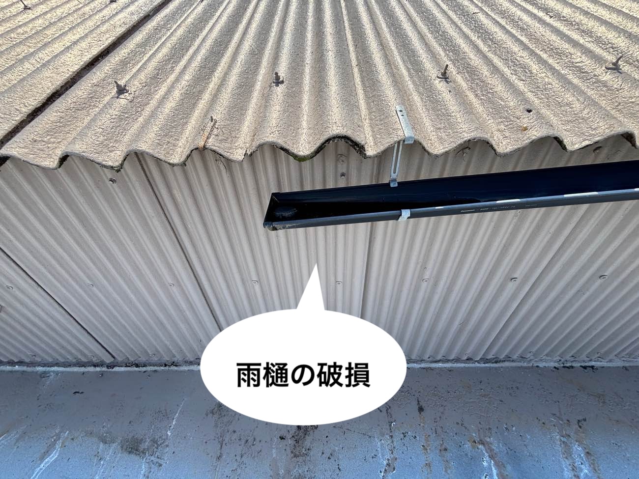 雨樋の破損