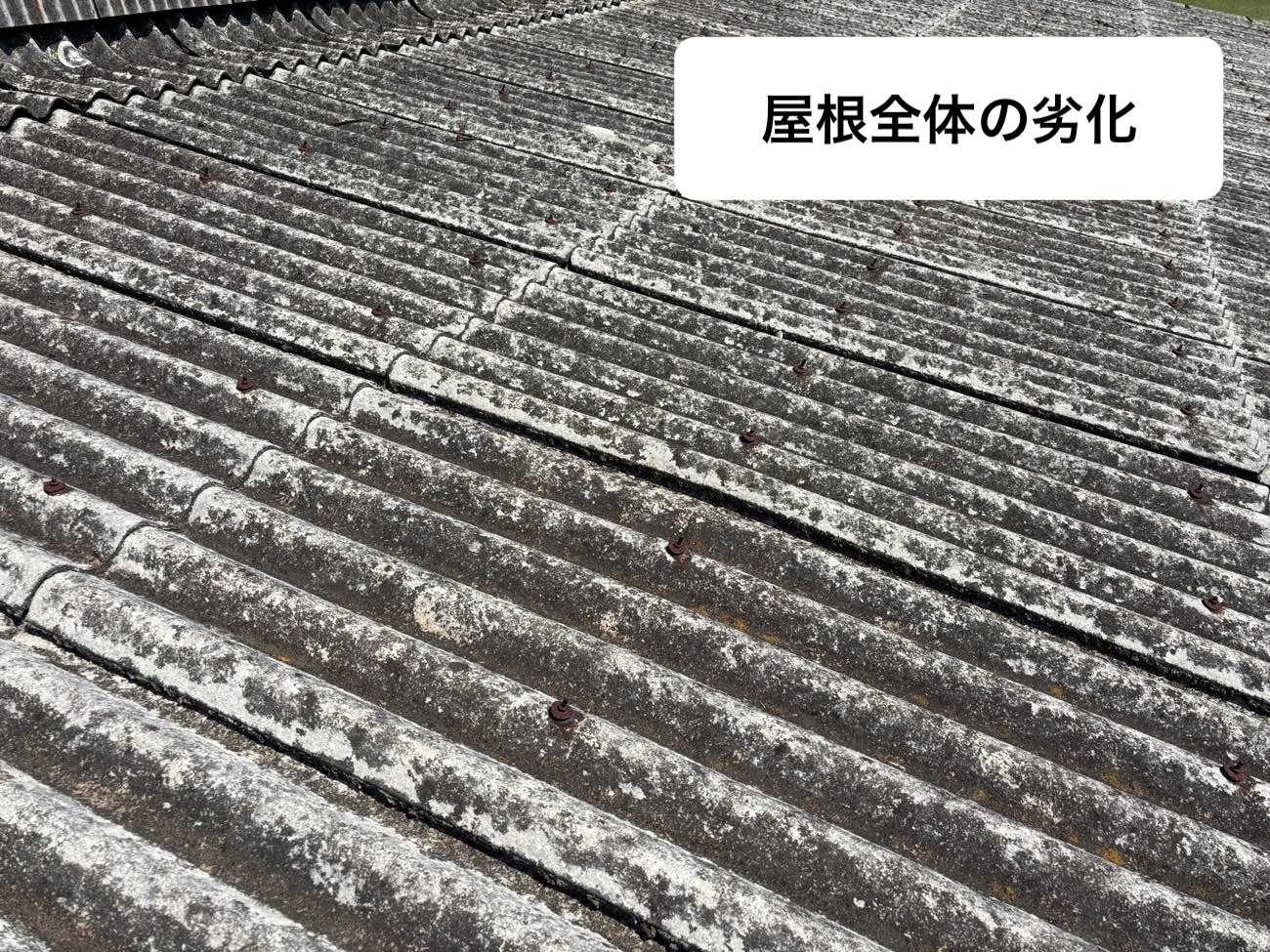 工場屋根の劣化