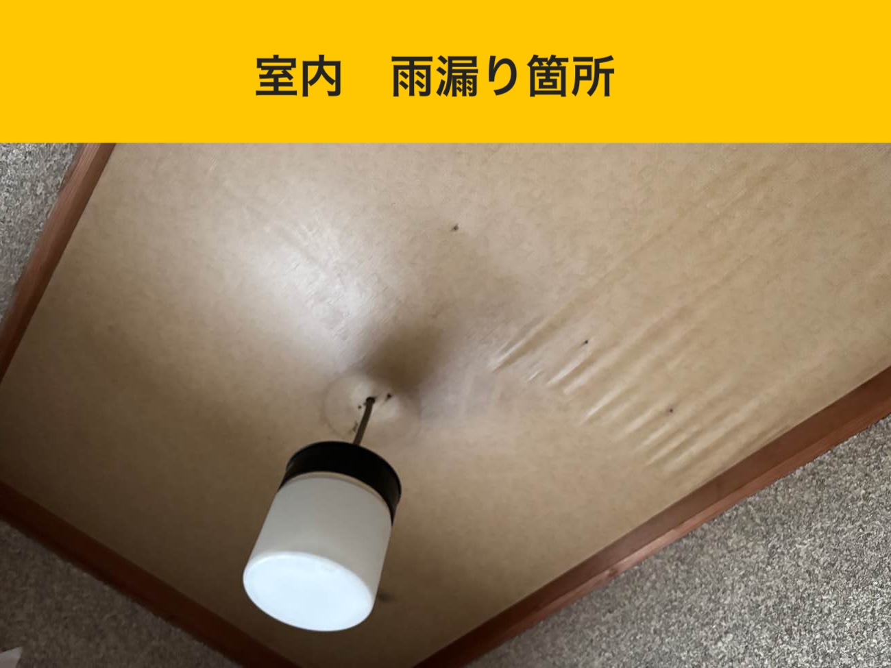 室内の雨漏り箇所（雨じみの確認）