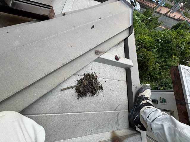 福岡市南区の雨漏り原因調査