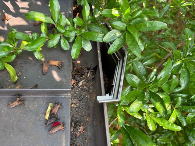 福岡市南区の屋根に溜まったゴミ