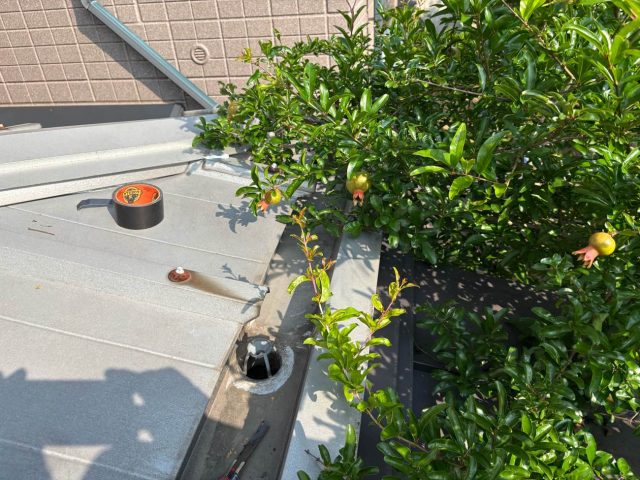 福岡市南区の屋根のドレン清掃