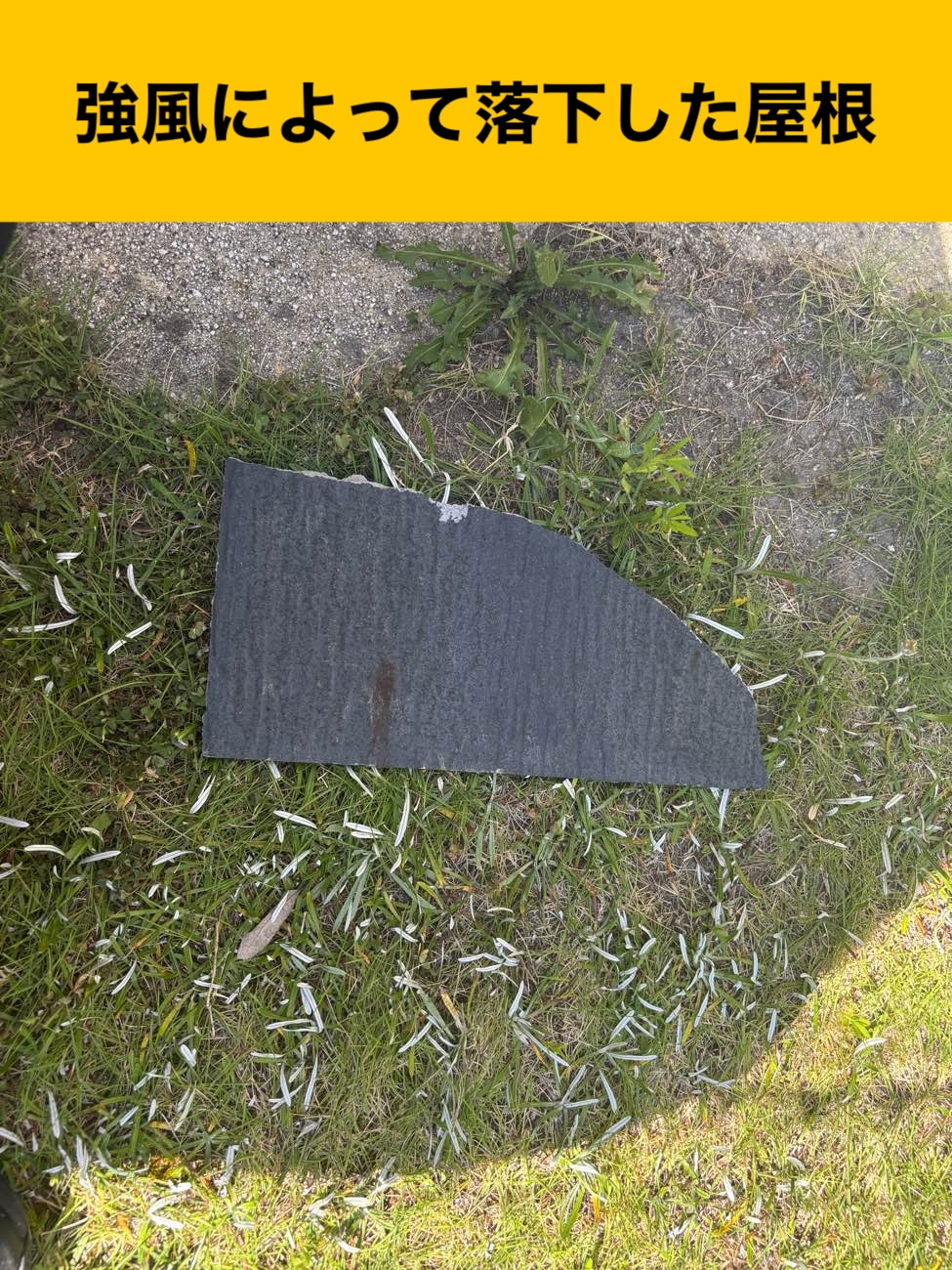 落下した屋根