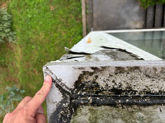 糸島市で確認された傷み