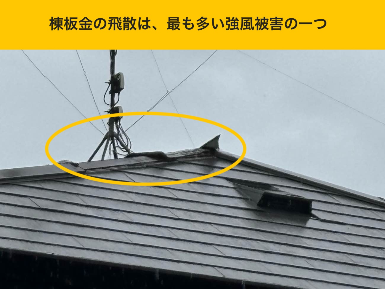 棟板金の飛散が起きやすい箇所の確認