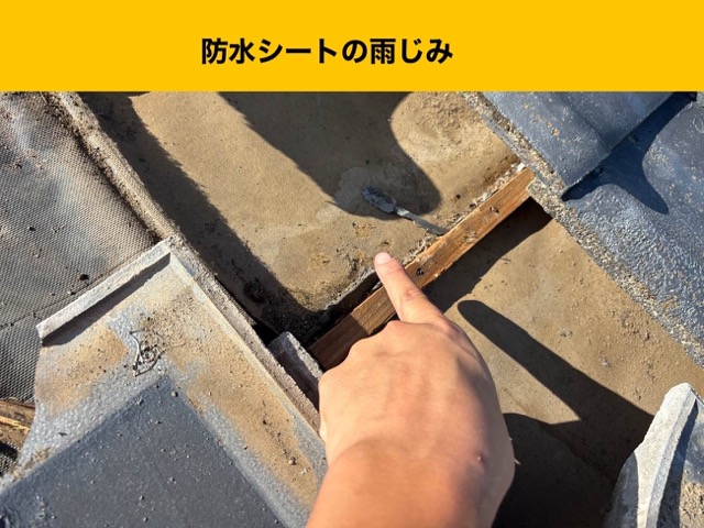 福岡市早良区物件、防水シートの雨じみ