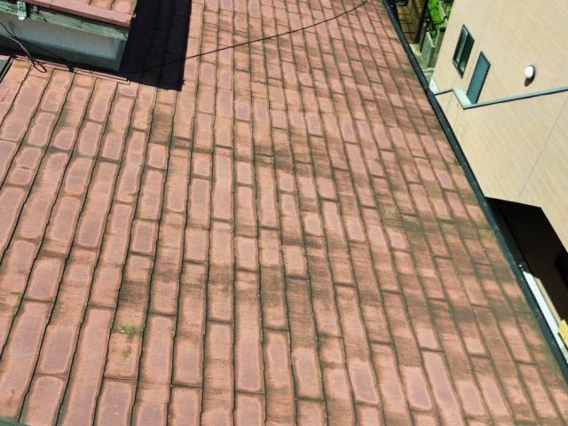 福岡市東区の調査で見受けられたスレートの苔・カビ