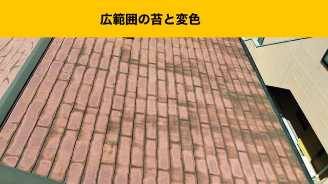 屋根の苔と変色、福岡市東区の雨漏り工事