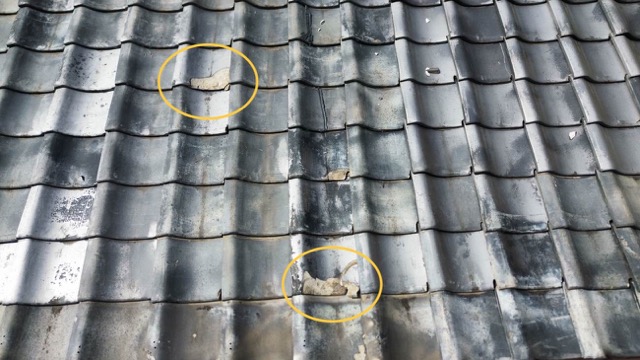 破損した瓦屋根、福岡市の雨漏り調査