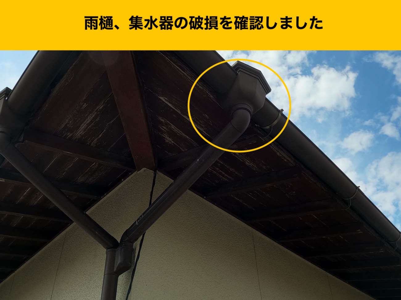 糸島市の雨樋調査、集水器の確認