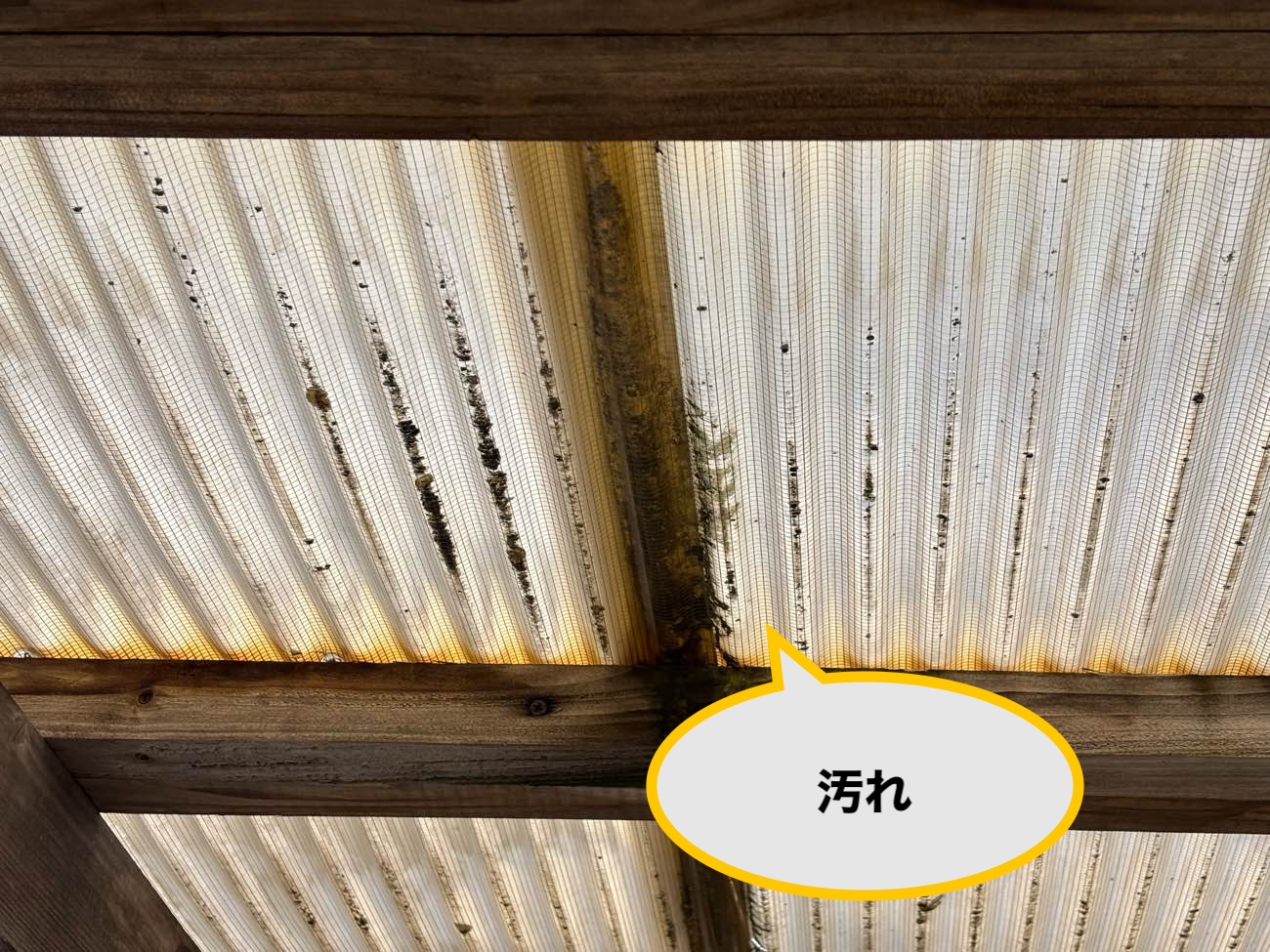 糸島市の波板破損を調査、汚れ